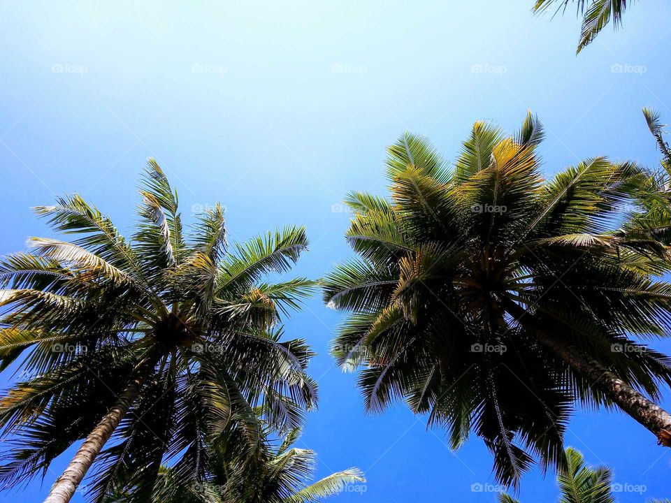 blue colour sky story