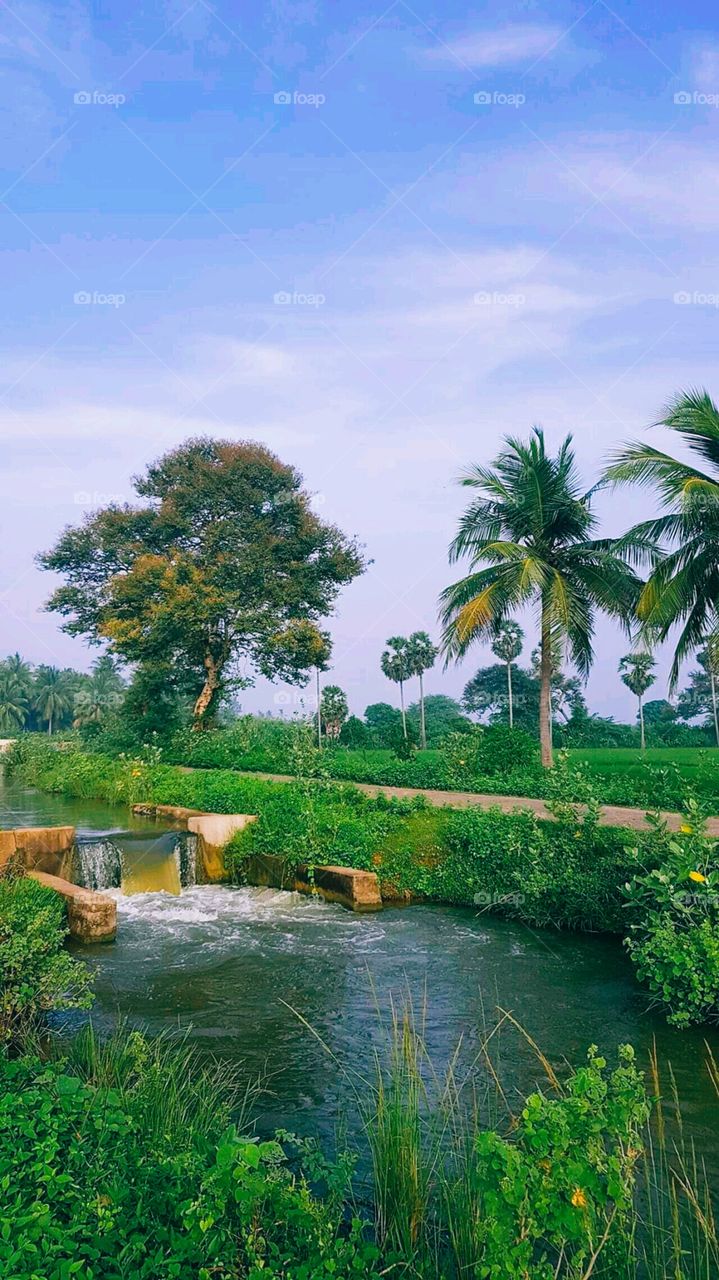 Nature and Helthy Place