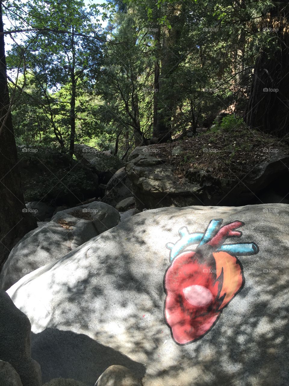 Searching for the Heart Rock in the California Forest 