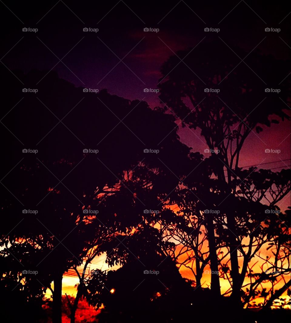 🌅Desperte, #Jundiaí!
Bonitas cores para uma boa jornada.
🍃
#sol #sun #sky #céu #photo #nature #morning #alvorada #natureza #horizonte #fotografia #pictureoftheday #paisagem #inspiração #amanhecer #mobgraphy #mobgrafia #FotografeiEmJundiaí