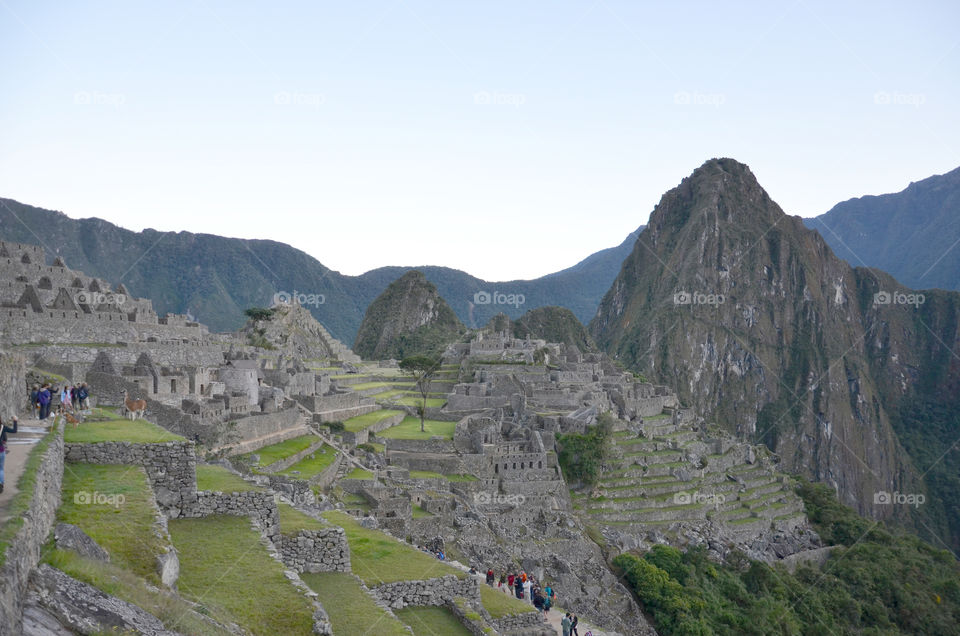 Machu Picchu