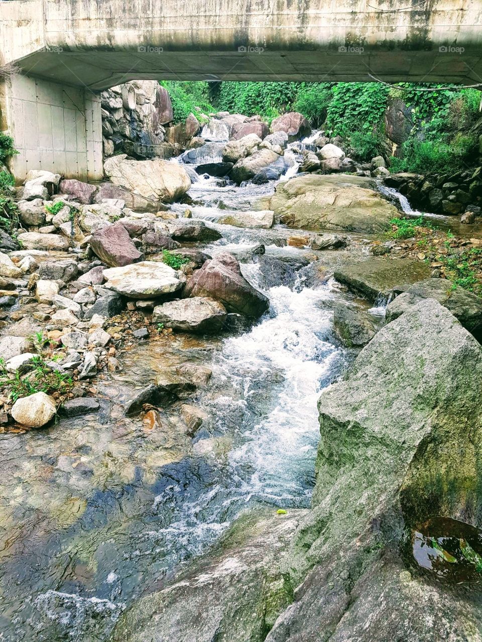 The River Under The Bridge In South Korea.