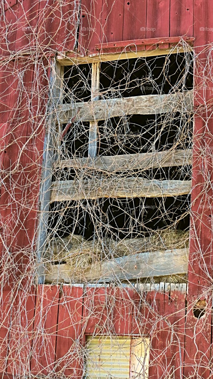 Overgrowth do not enter