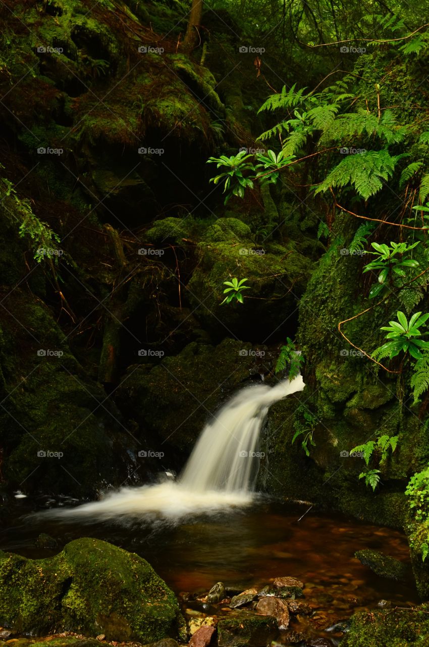 Waterfall in forest