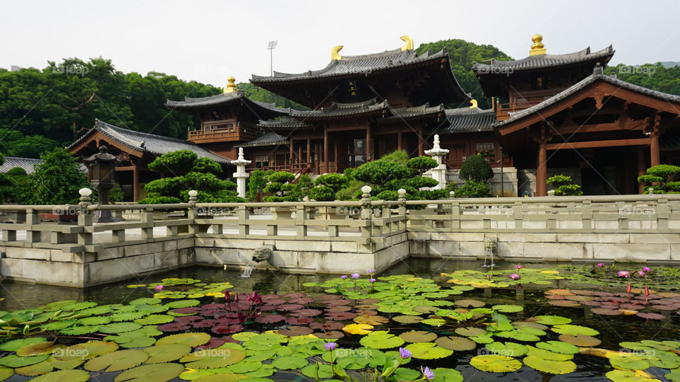 Chi Lin Nunnery in Hong Kong