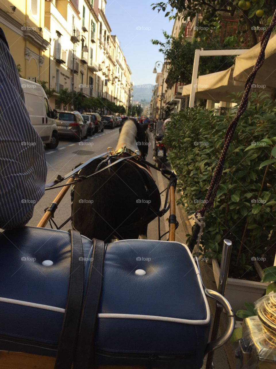 Carriage ride in Sorrento 