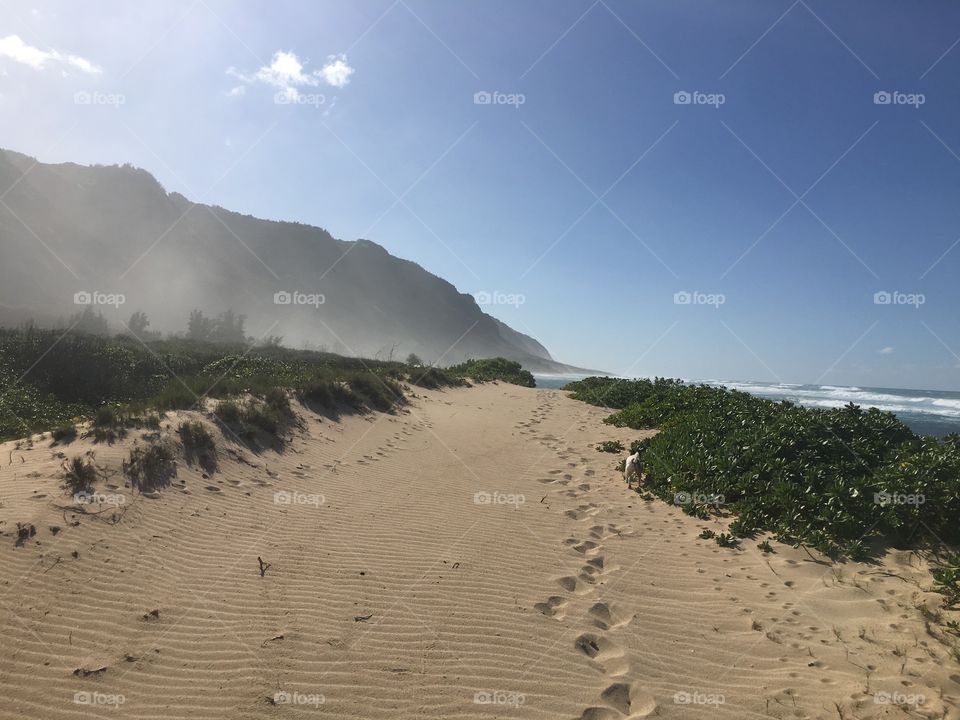 No Person, Water, Beach, Sand, Landscape
