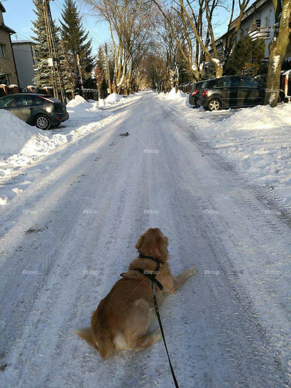 Winter season in Poland