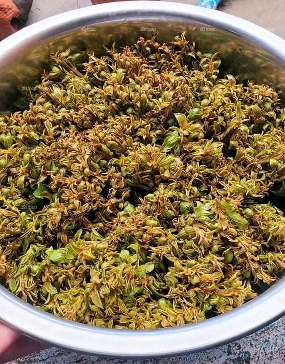 A very beautiful picture, and there is no better picture than it. There is no better picture of green herbs and colorful, red and white roses than it. Glory be to God, the natural and picturesque view, and there is no more