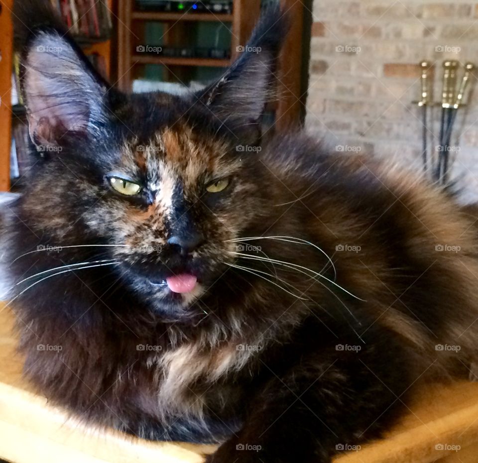 Man, what a hangover.....