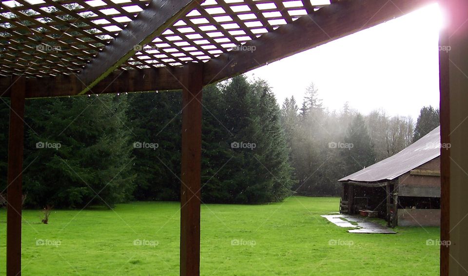 Misty Farm Day