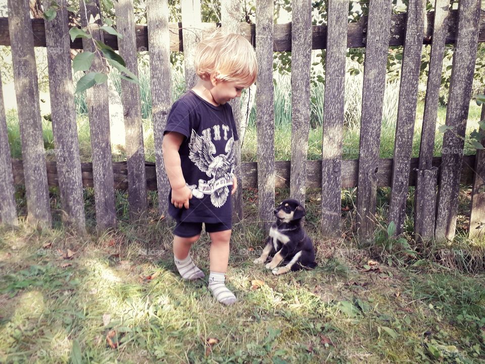 little boy looking at puppy