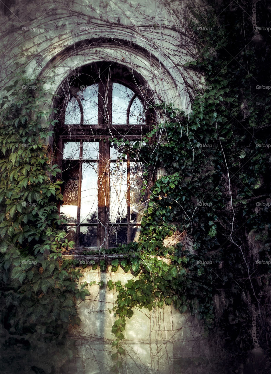 house window old sunlight by radupopa