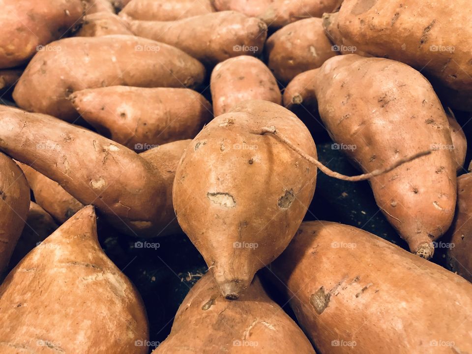 Sweet potato 