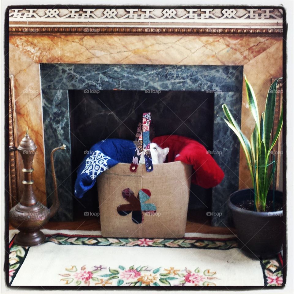 peek a boo. Chagall hides in the basket