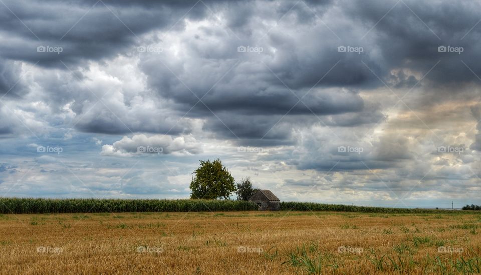 Landscape, No Person, Sky, Nature, Agriculture