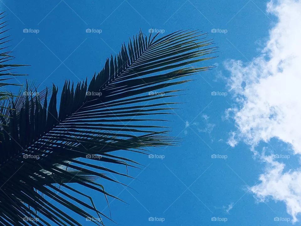 Blue sky 