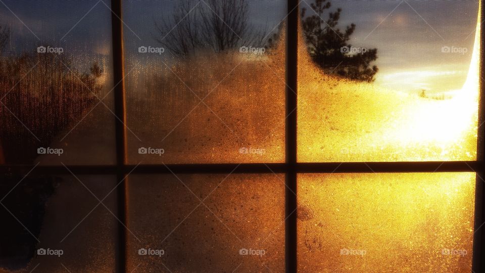 Frosty Window