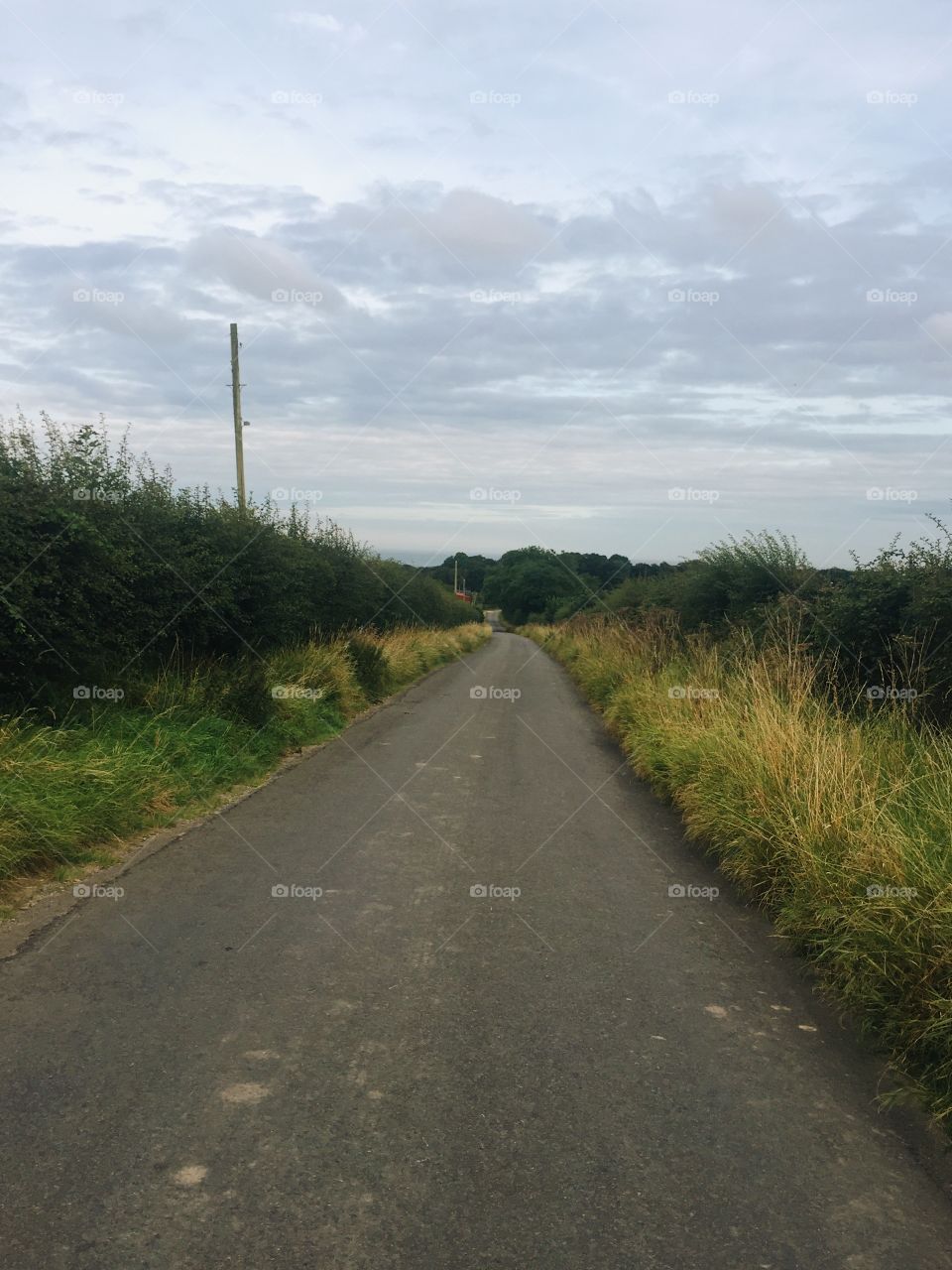 Road, No Person, Landscape, Guidance, Nature