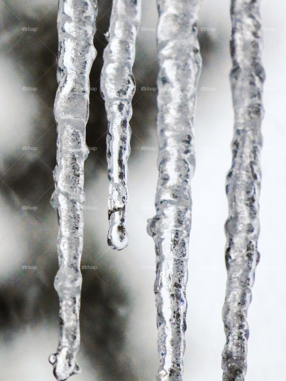 Icicles