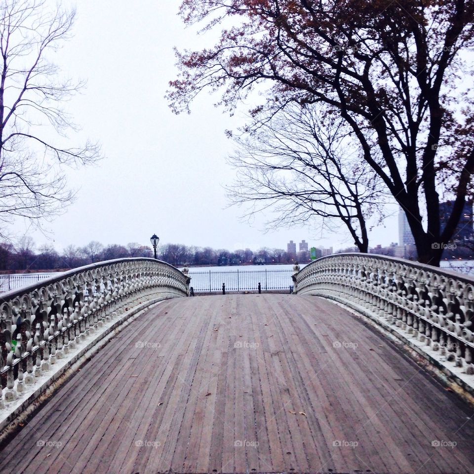 Central park, manhattan, new york