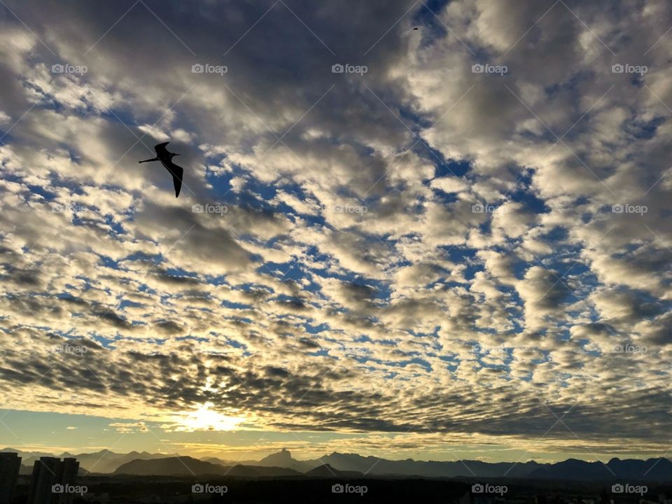 Sky quite different with a severa clouds. The birds seem so small in front of everything.