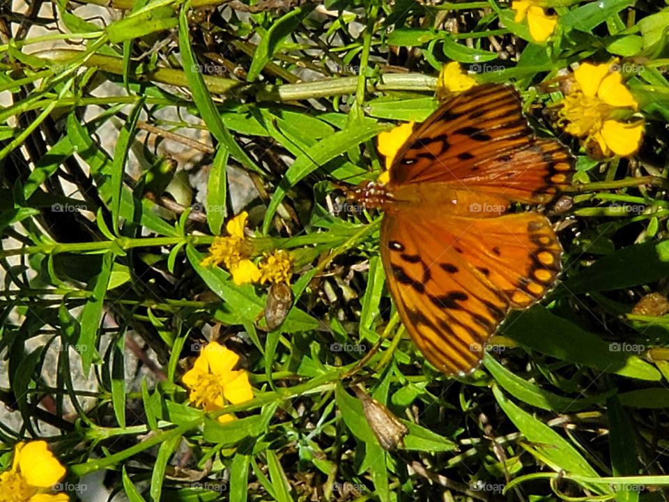 wonderful mother nature