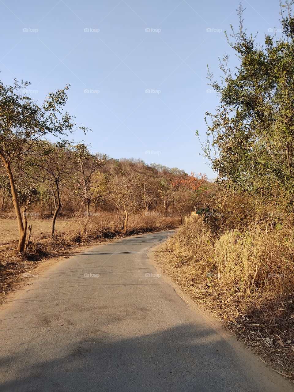 beautiful😍 👣🚲🏍🛺🚗🚜road