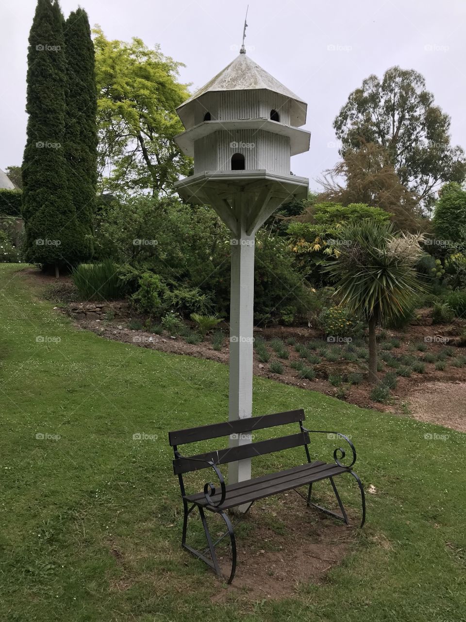 A place to rest and eat for birds and humans haha, with the added bonus of being amongst the lovely surroundings of Bicton Park, Devon, UK
