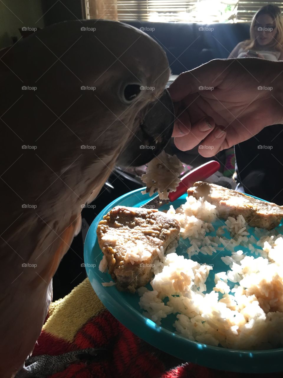 Sharing a meal 