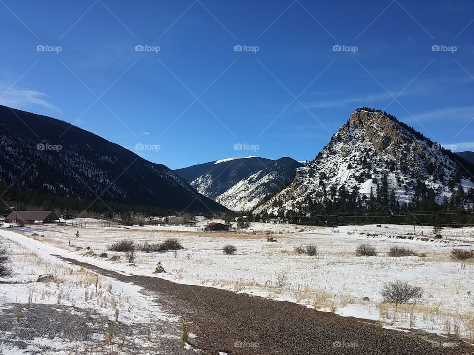 Colorado Rockies