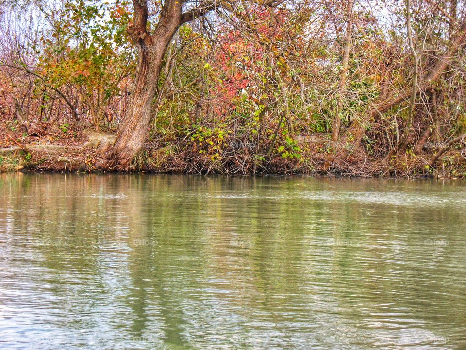 banks of the Danube бер