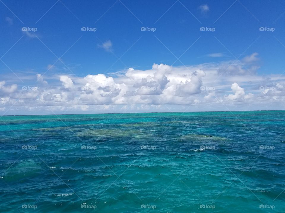 Great barrier reef