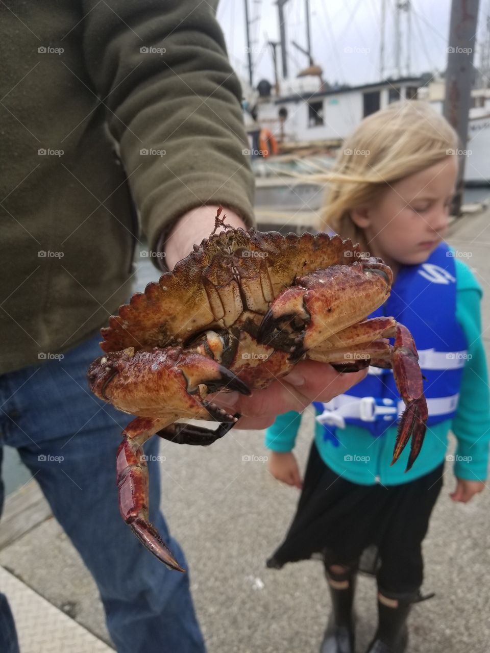 Rock crab from Charleston Oregon
