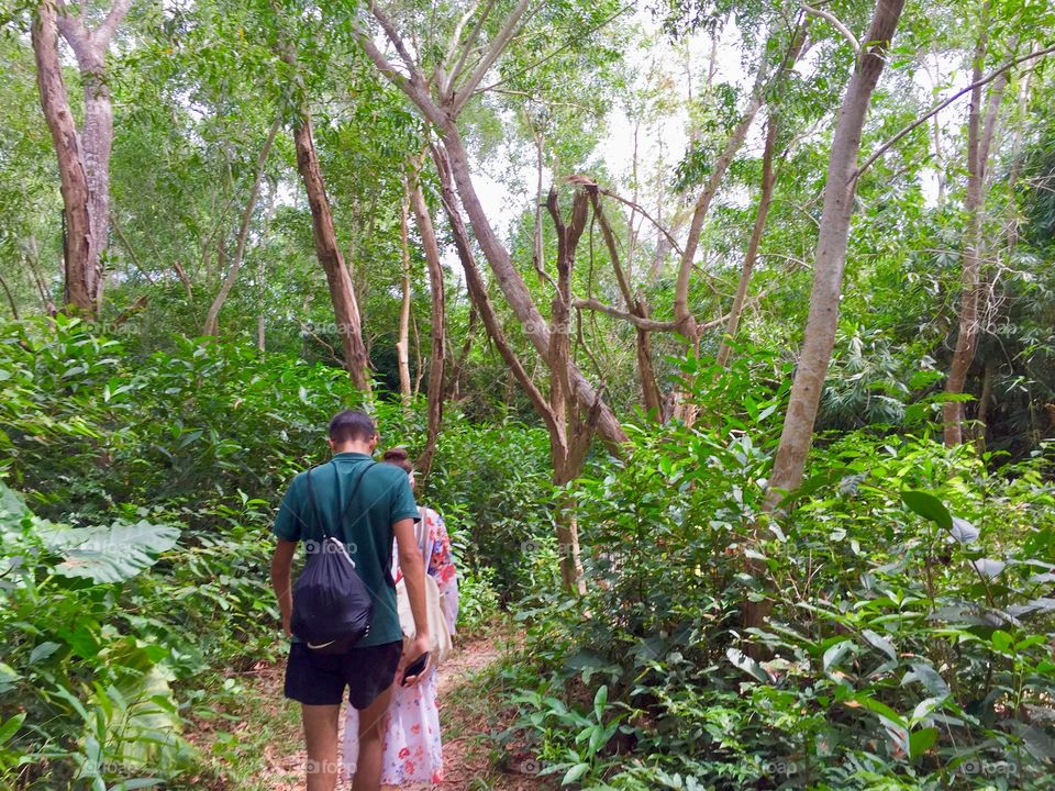 Two people walking into the woods