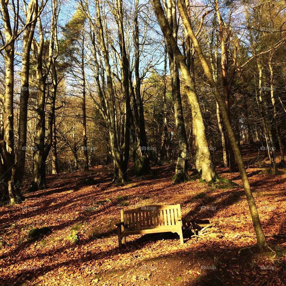 My new favourite place to sit in #northdevon - I love Chapel Wood and the fun we have there