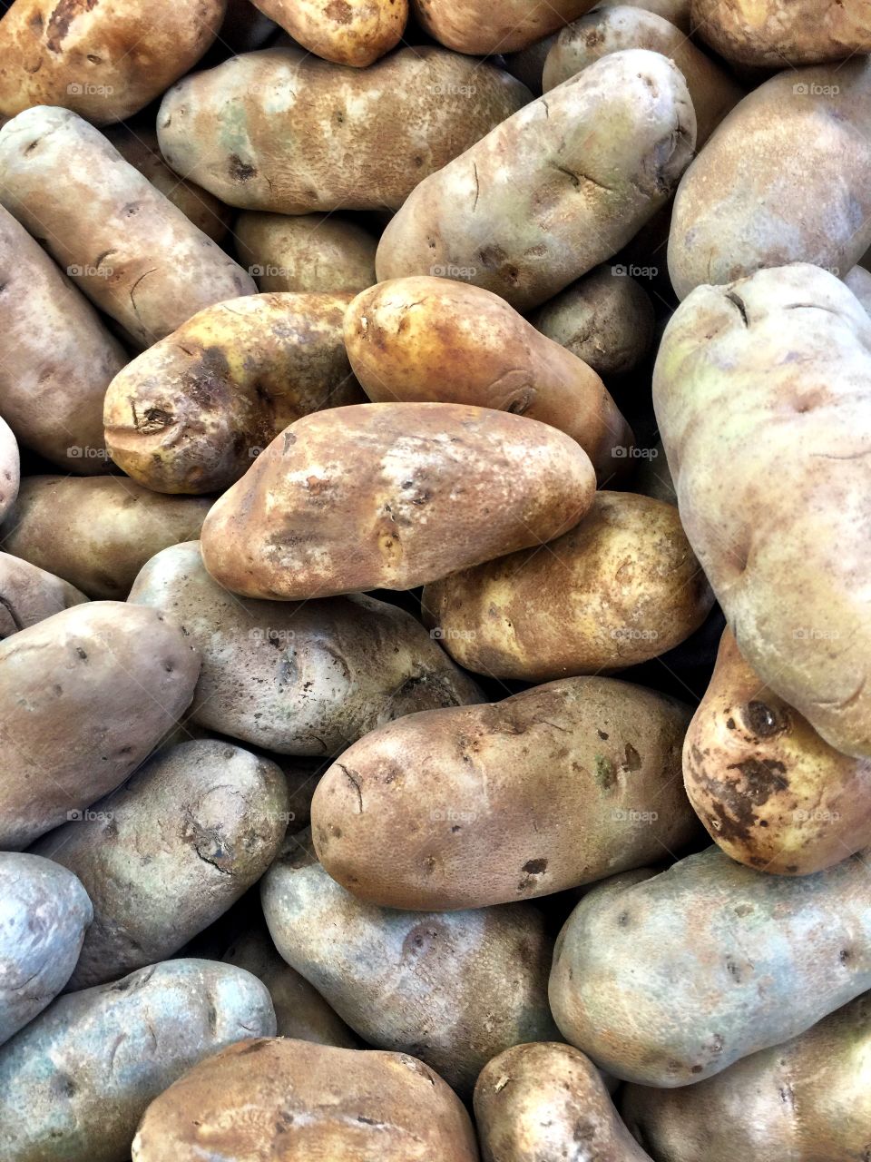 Full frame of potato