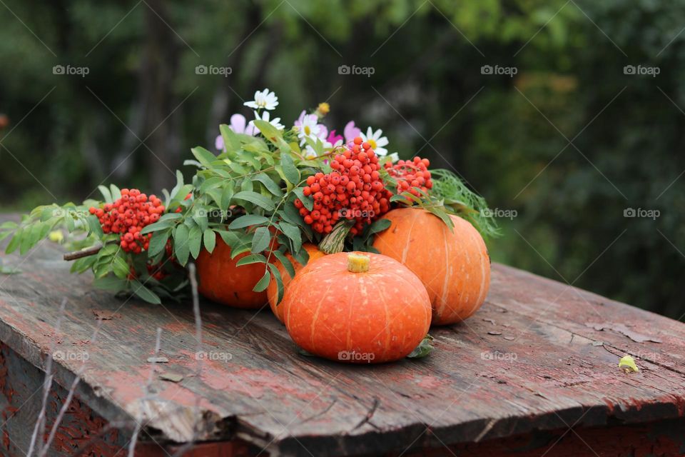 осенний натюрморт