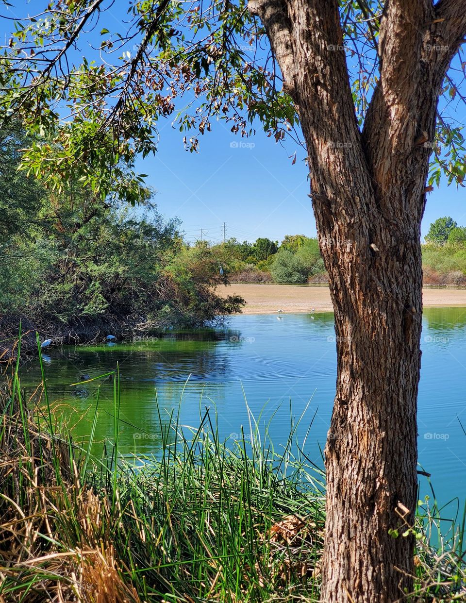 Autumn Day at the Lake