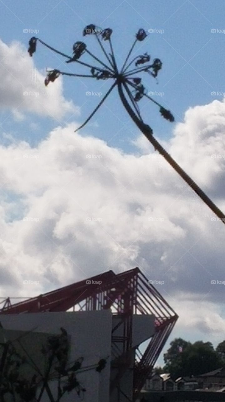 Weed against the Sky