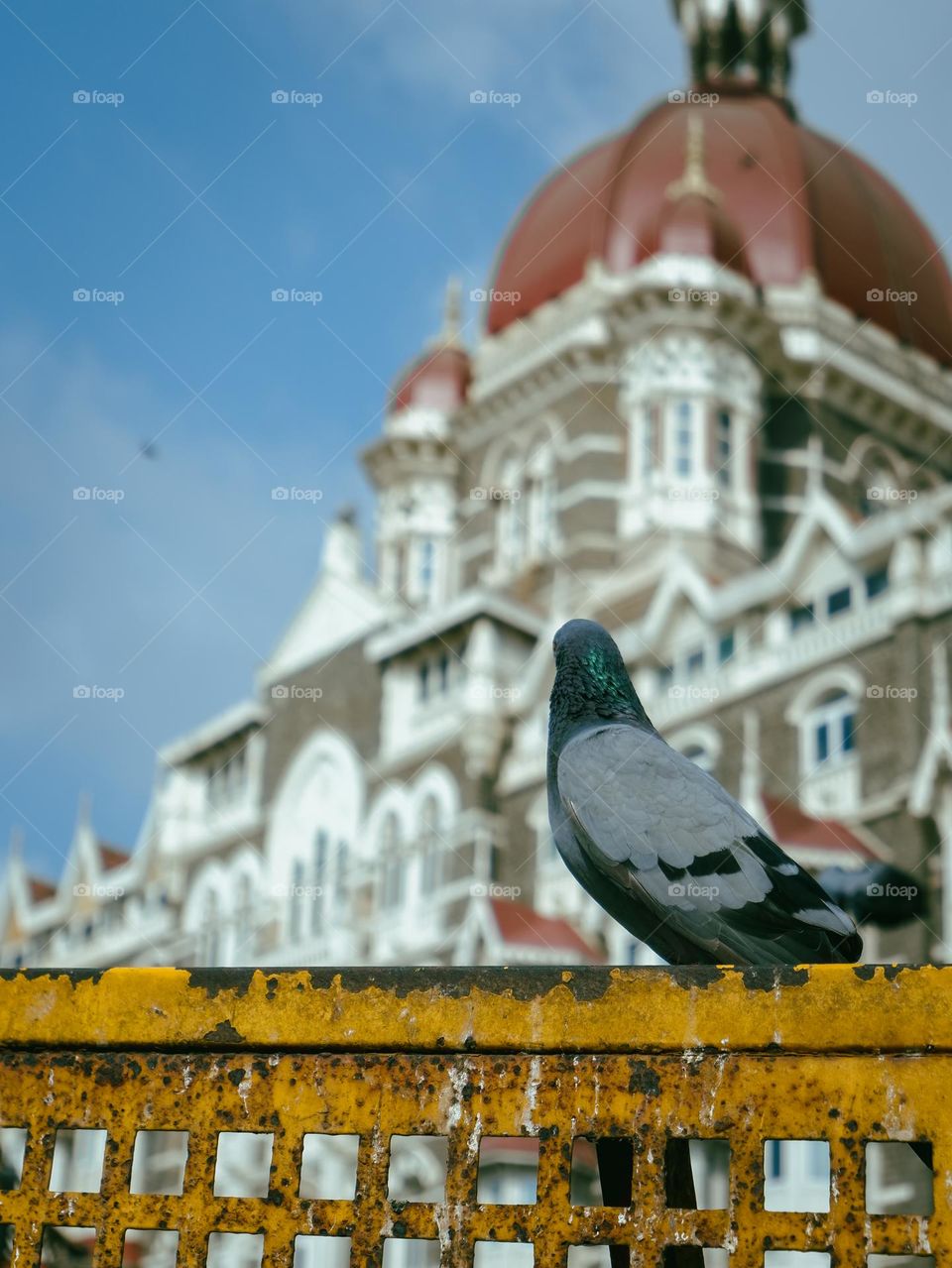 The great taj hotel of mumbai, best hotel in mumbai with top level hospitality!
