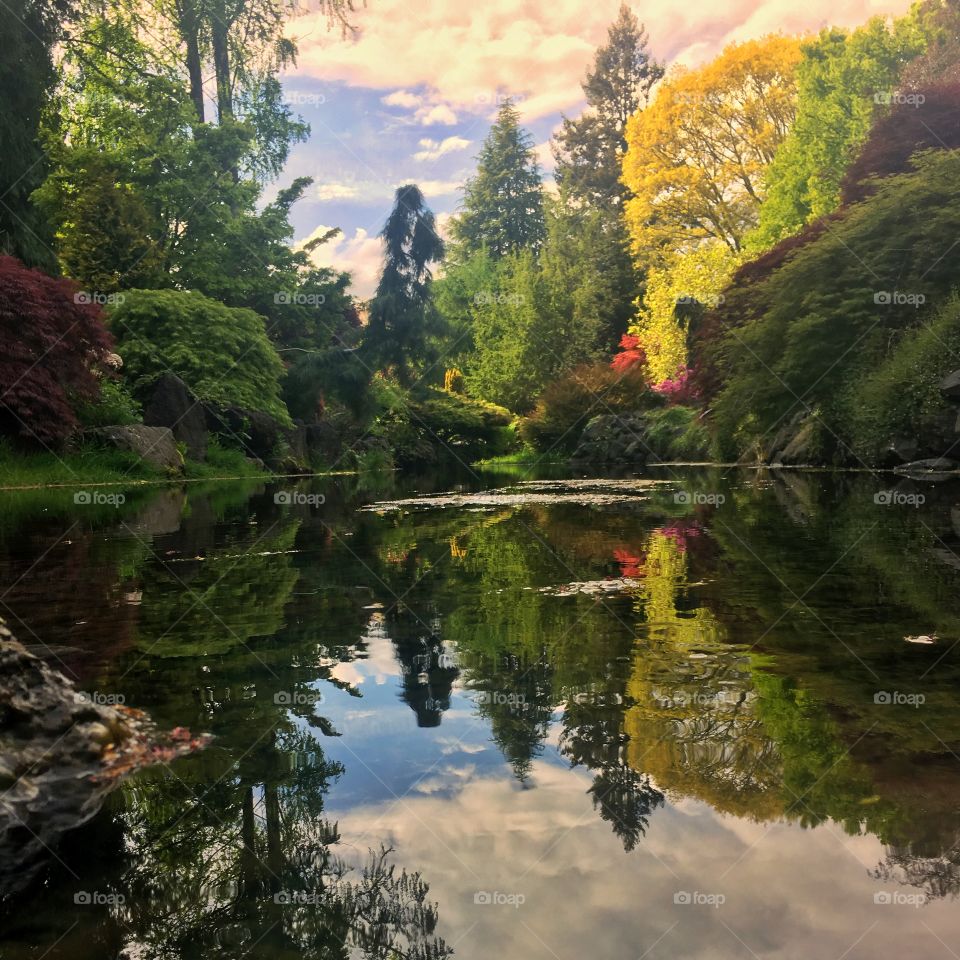 Garden Park Water Reflections 