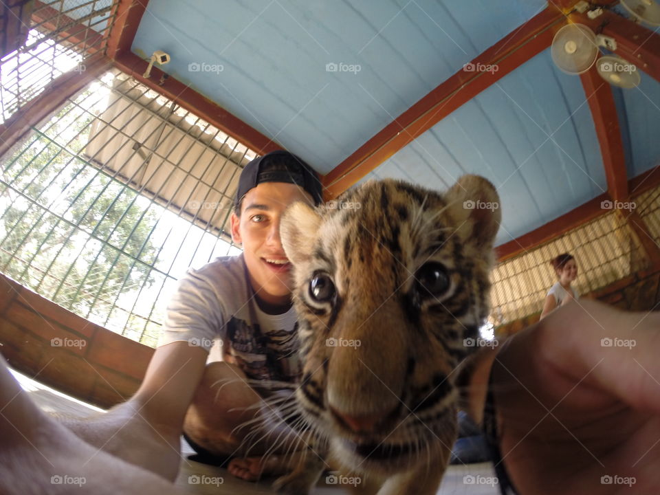 Baby tiger selfie. But first... 
Tiger temple in Thailand
