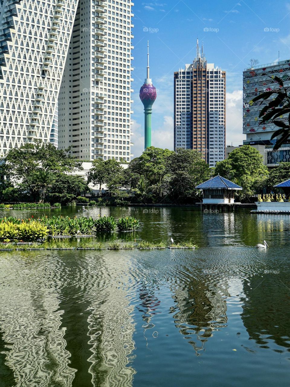 Beira Lake in Colombo Sri Lanka