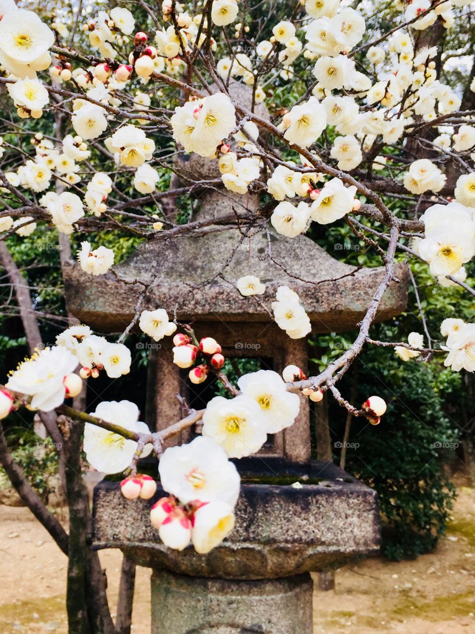 Spring is almost in the air