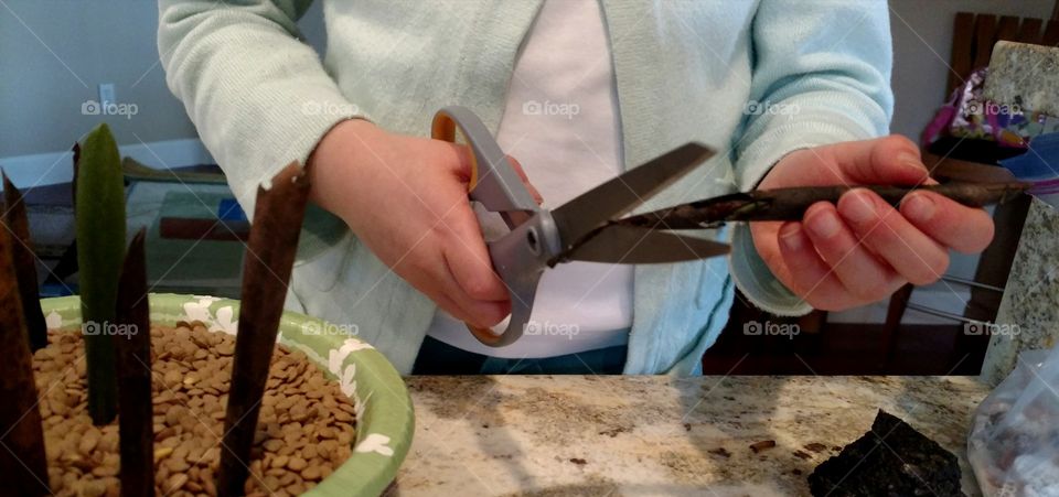 Working Hands Close-up