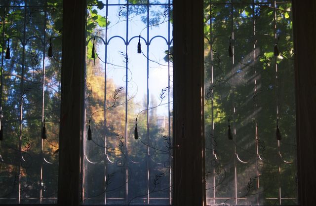 Fall behind bars