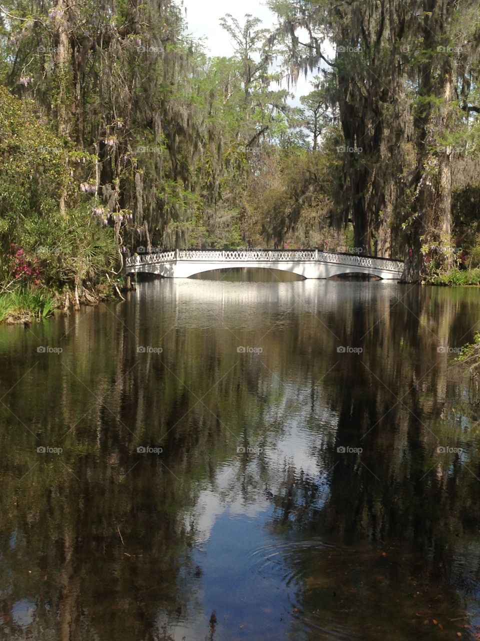 Reflection bridge