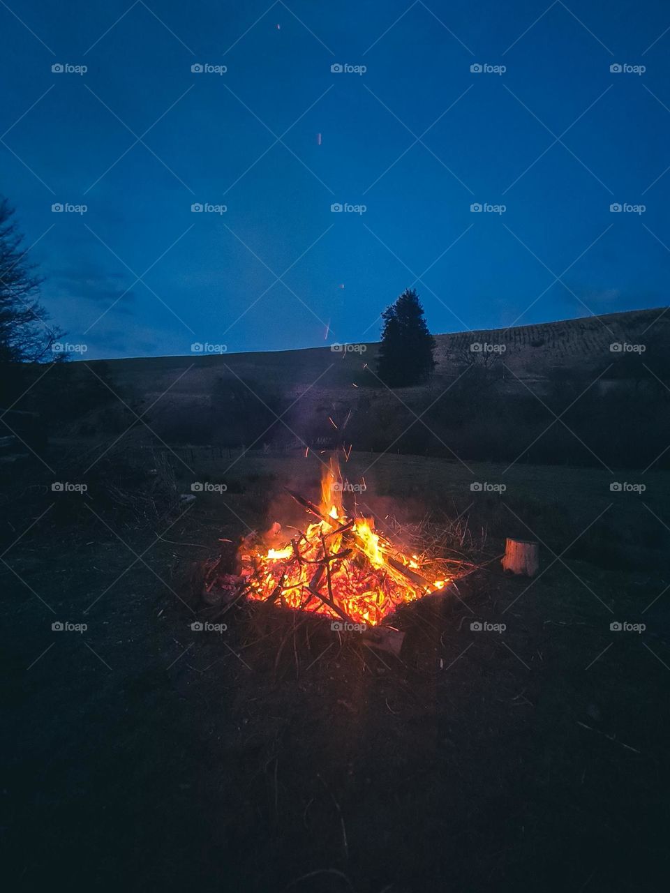 campfire at night