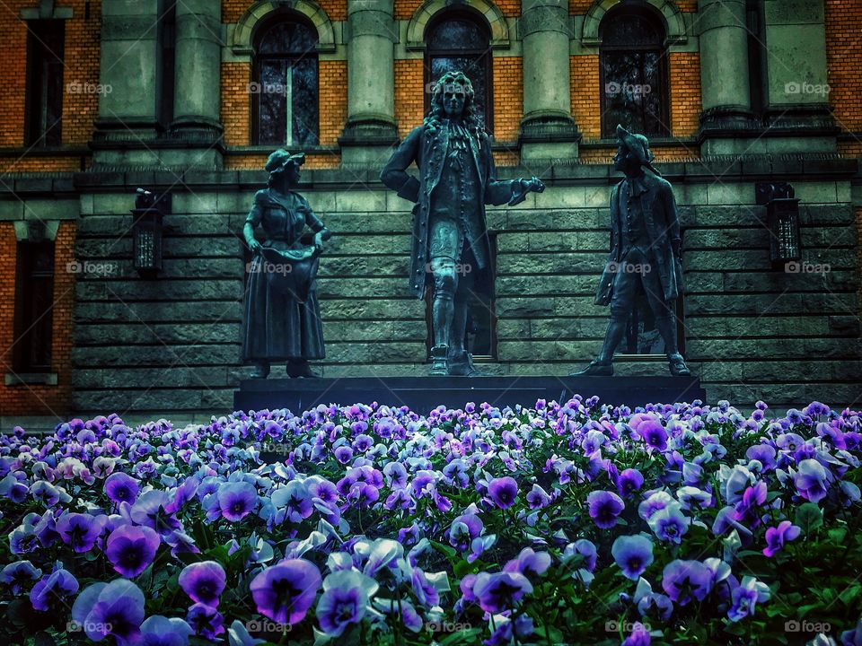 Beautiful flowers at Oslo 